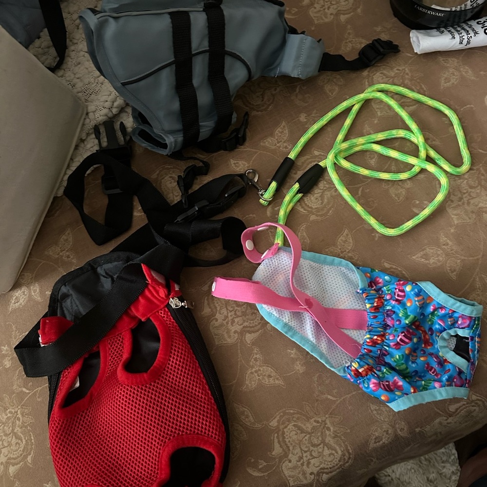 Small Dog Accessories